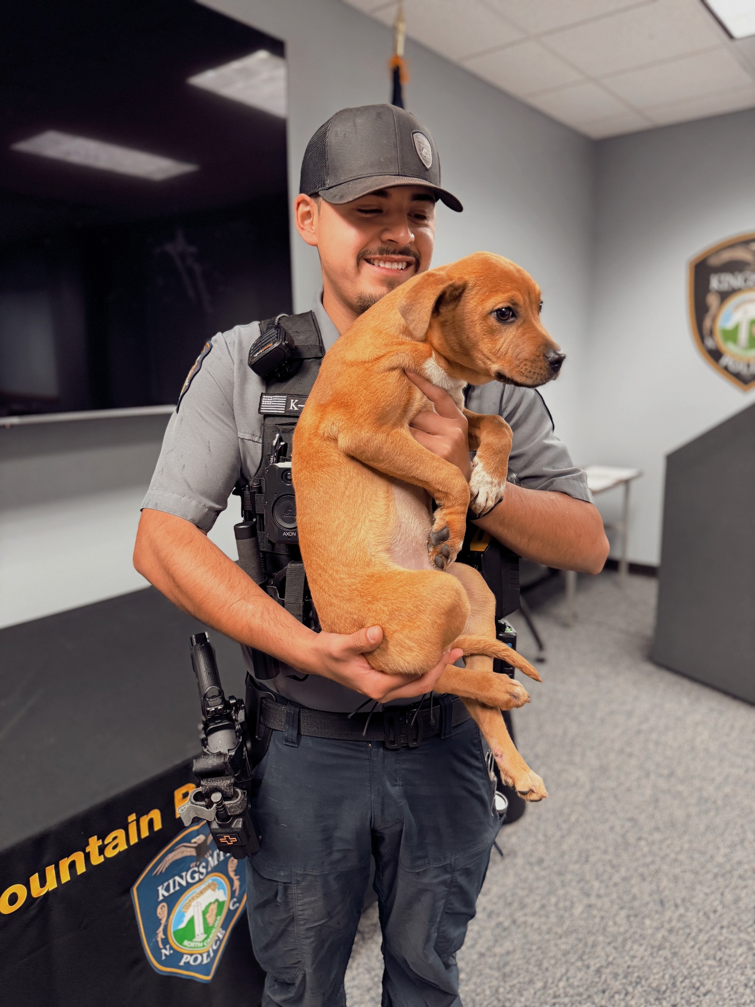 Kings - Puppy Patrol Adoption 2025 is Almost Here! To celebrate, we're ...