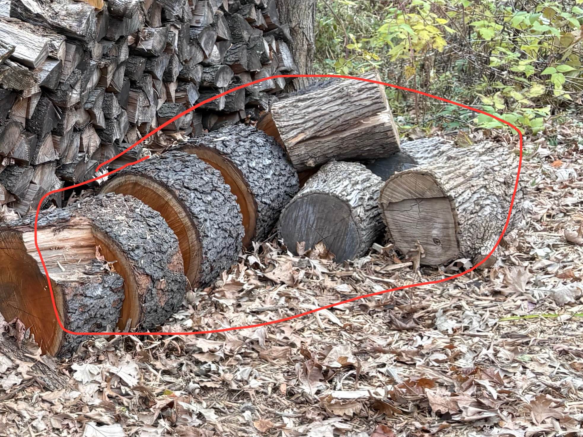 Free Firewood (unsplit) - Plants & Seedlings - Golden Valley, Minnesota ...