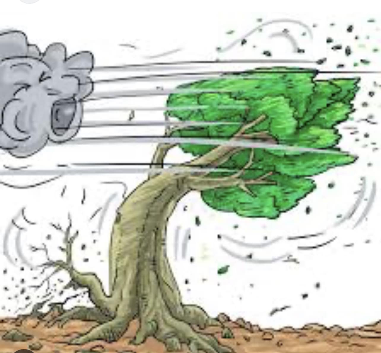 Above and Beyond Tree Service