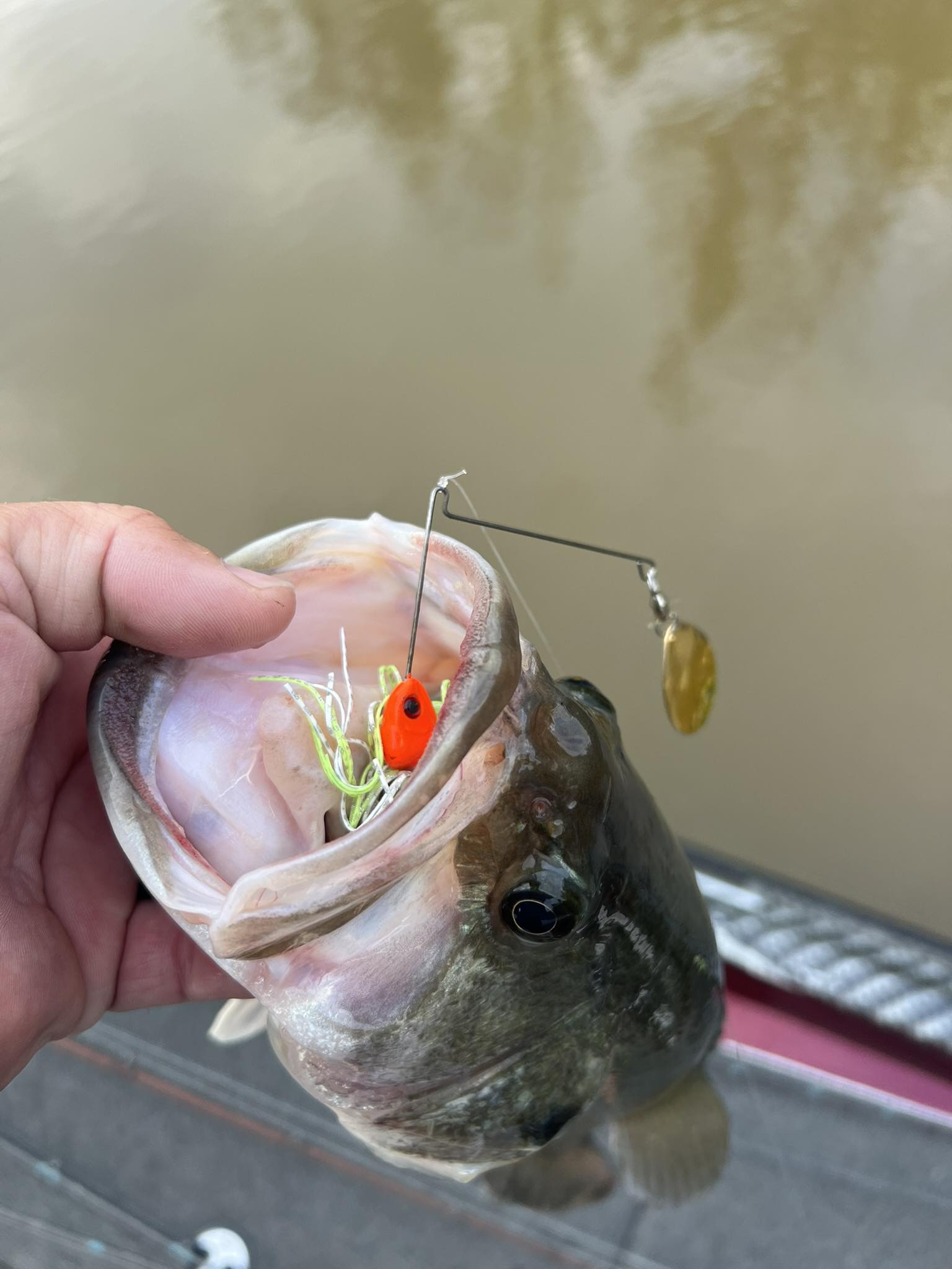 best bass spinner lure Compact Spinnerbait Spinner bait is a truly unique bait series Best Spinnerbaits For Bass -