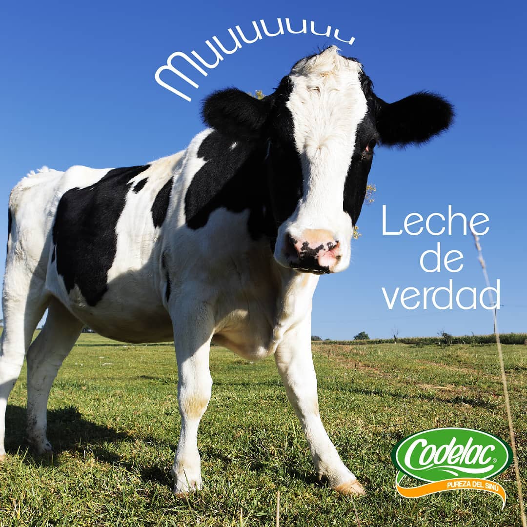 Codelac - ¡La mejor leche, producto de nuestra tierra...