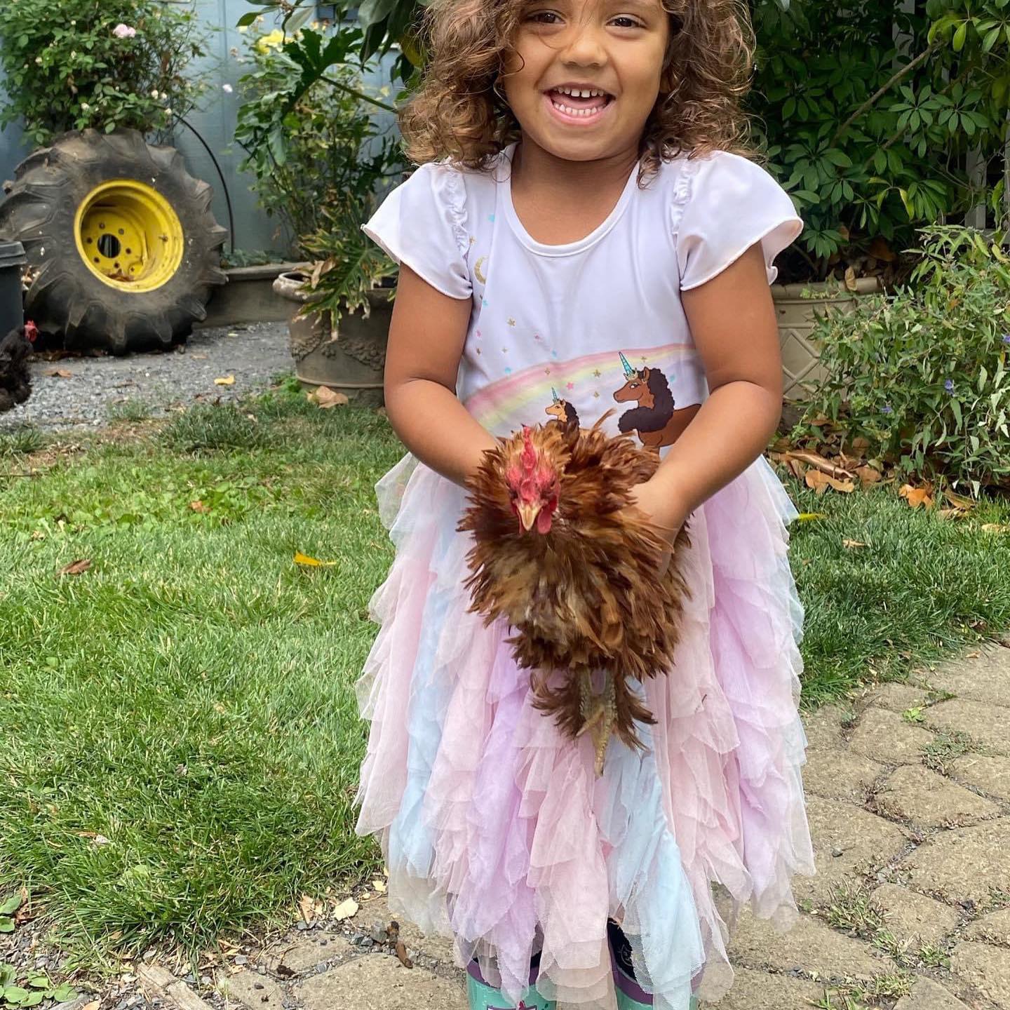 I’m discussing the first few steps to making homemade lemon 🍋 cello ...