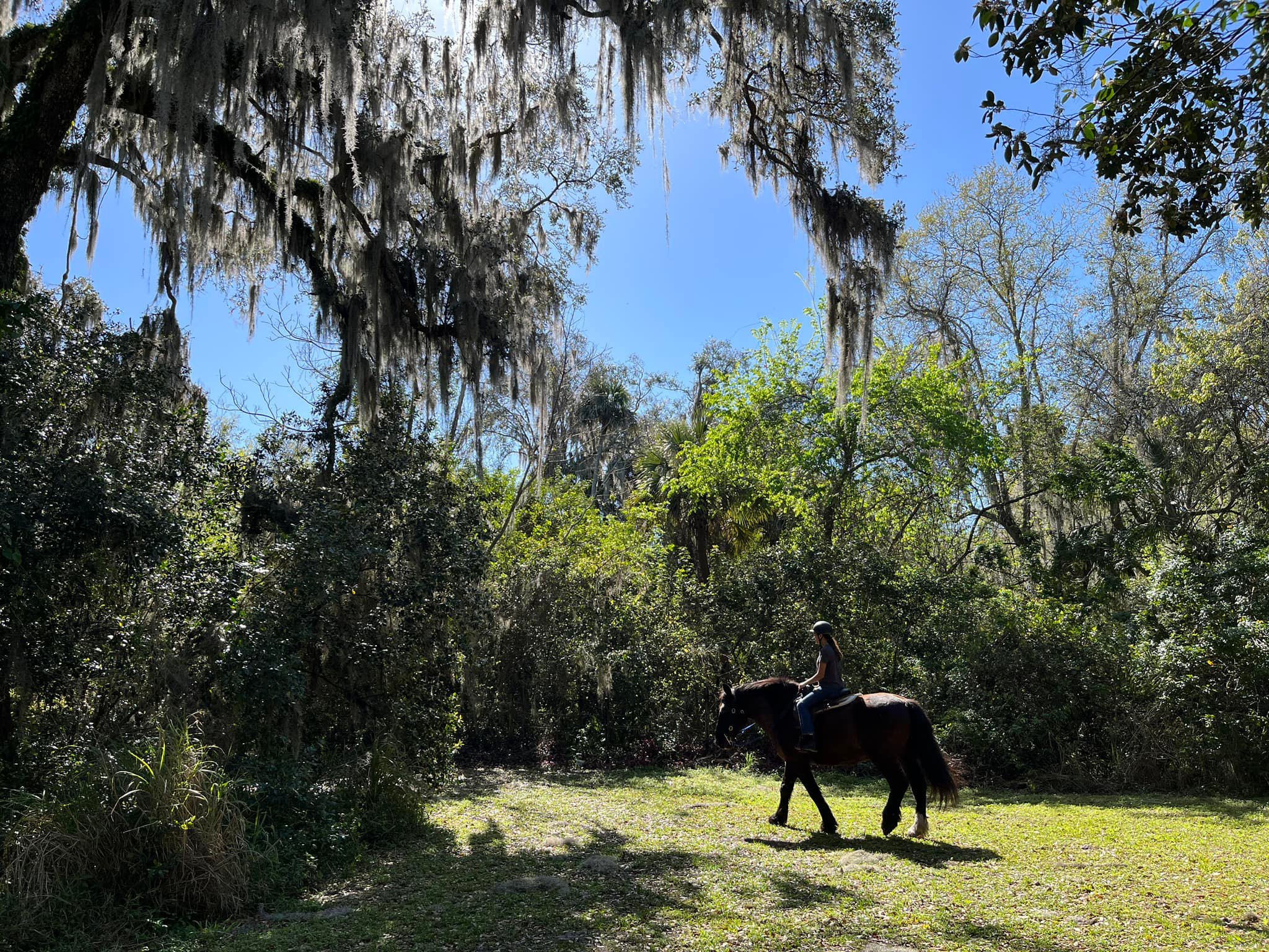 Threshold Farm | Titusville FL