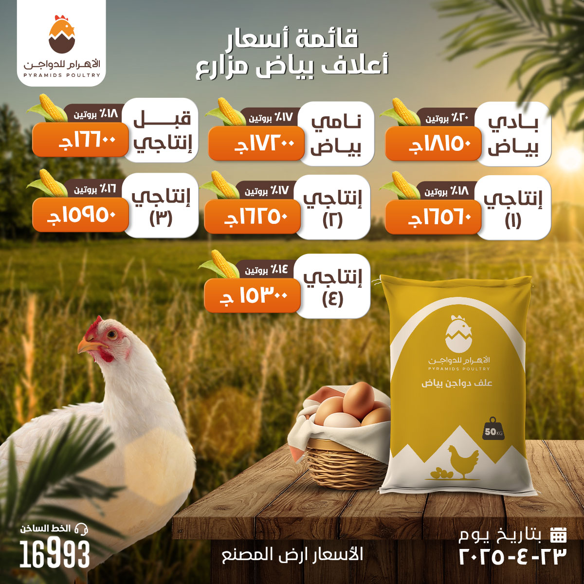 الاهرام للدواجن - Pyramids Poultry | Giza