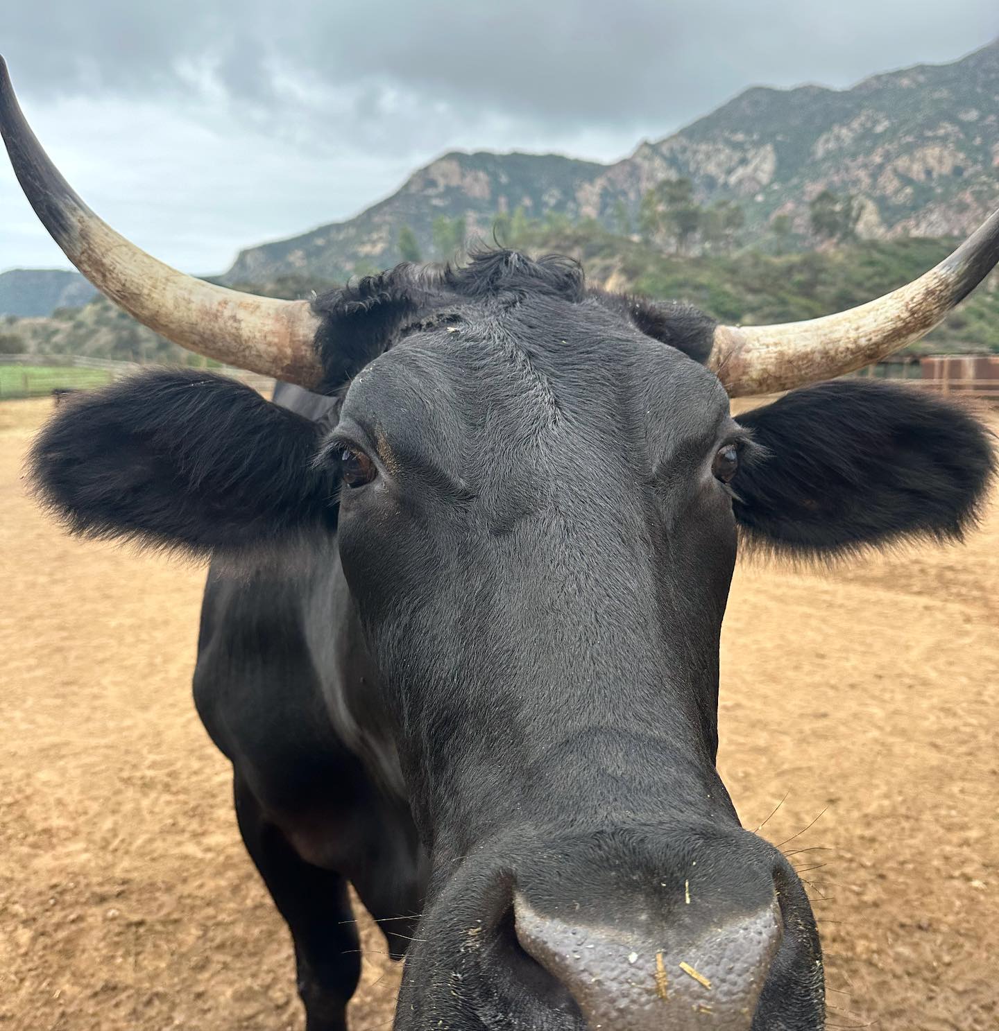 ONE GUN RANCH | Malibu CA