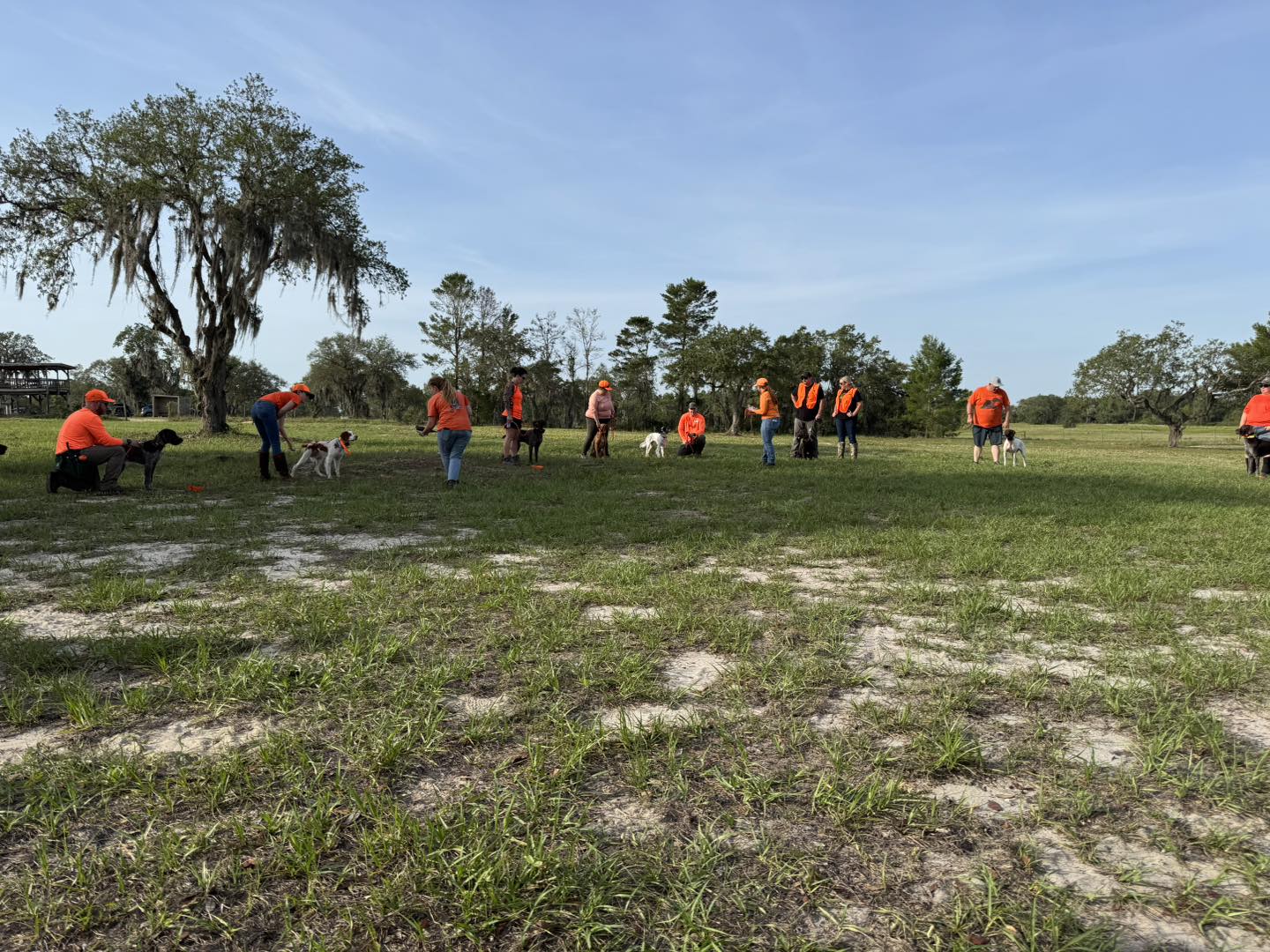 Florida Palmetto Navhda added a... - Florida Palmetto Navhda