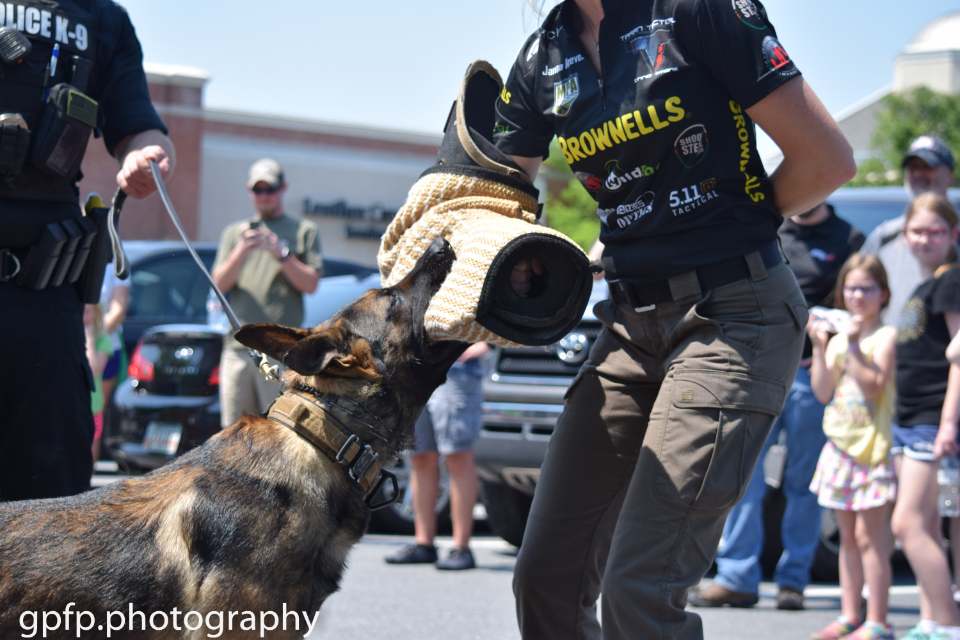 Georgia Police Fire Pictures | Atlanta GA