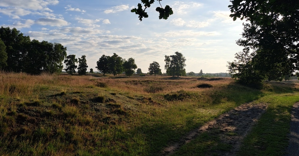 Rolde - Mijn Dorp | Rolde