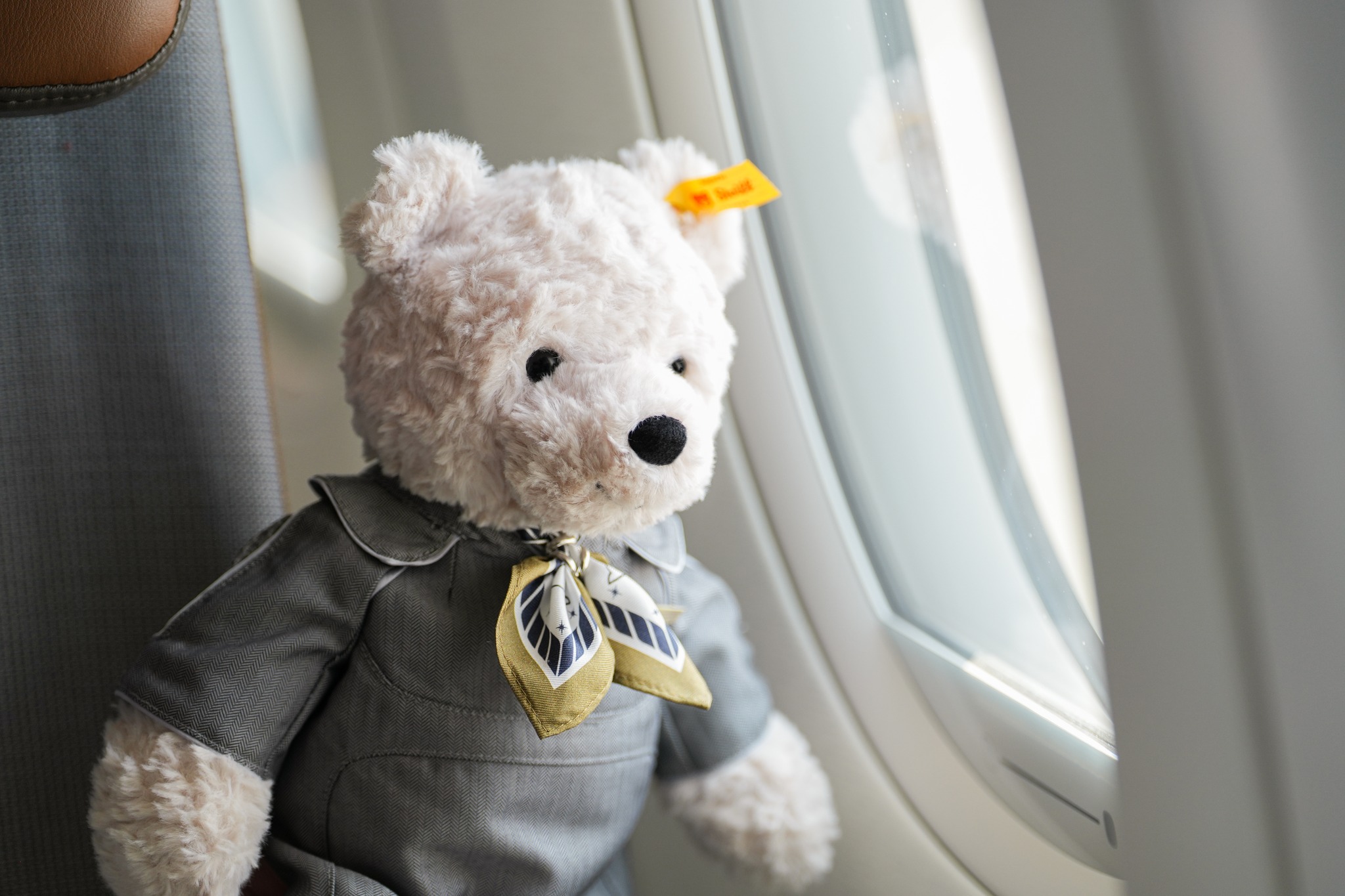 🐻✈️ STARLUX x Steiff Exclusive Teddy Bear Collection
