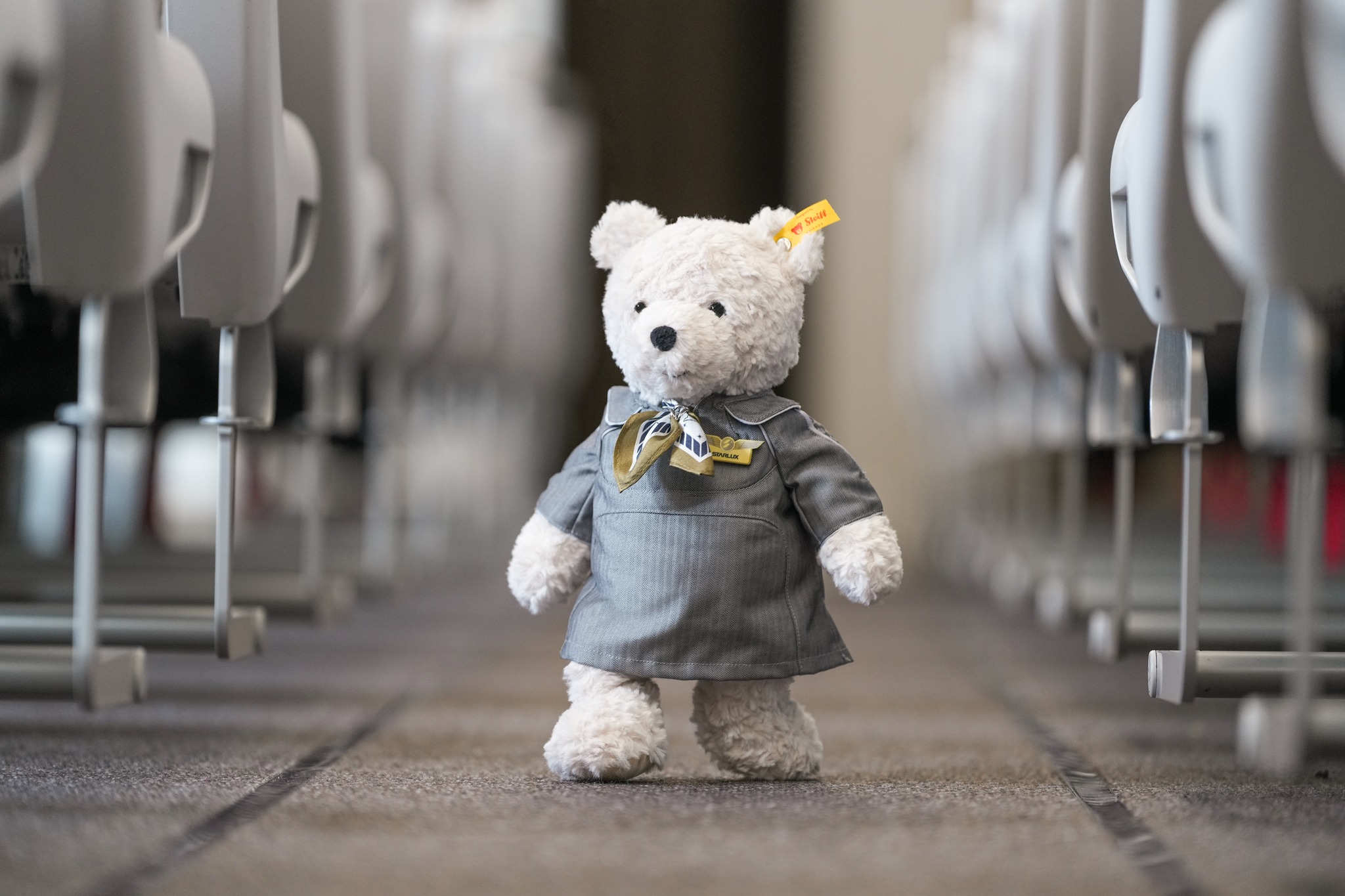 未使用 steiff×スターラックス航空 客室乗務員 限定品キーホルダー