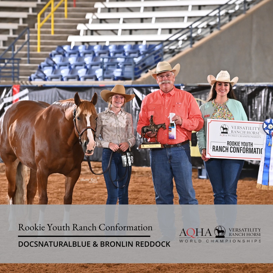 AQHA Showing - AQHA Showing added a new photo.