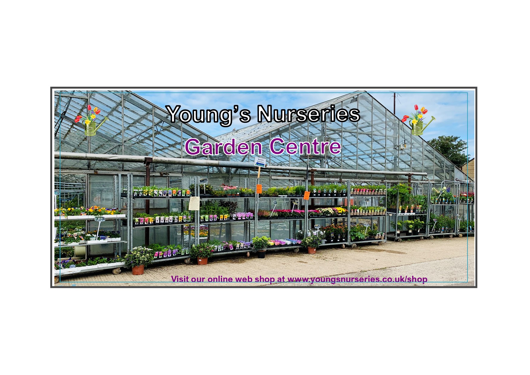 Youngs Nurseries | Broadstairs