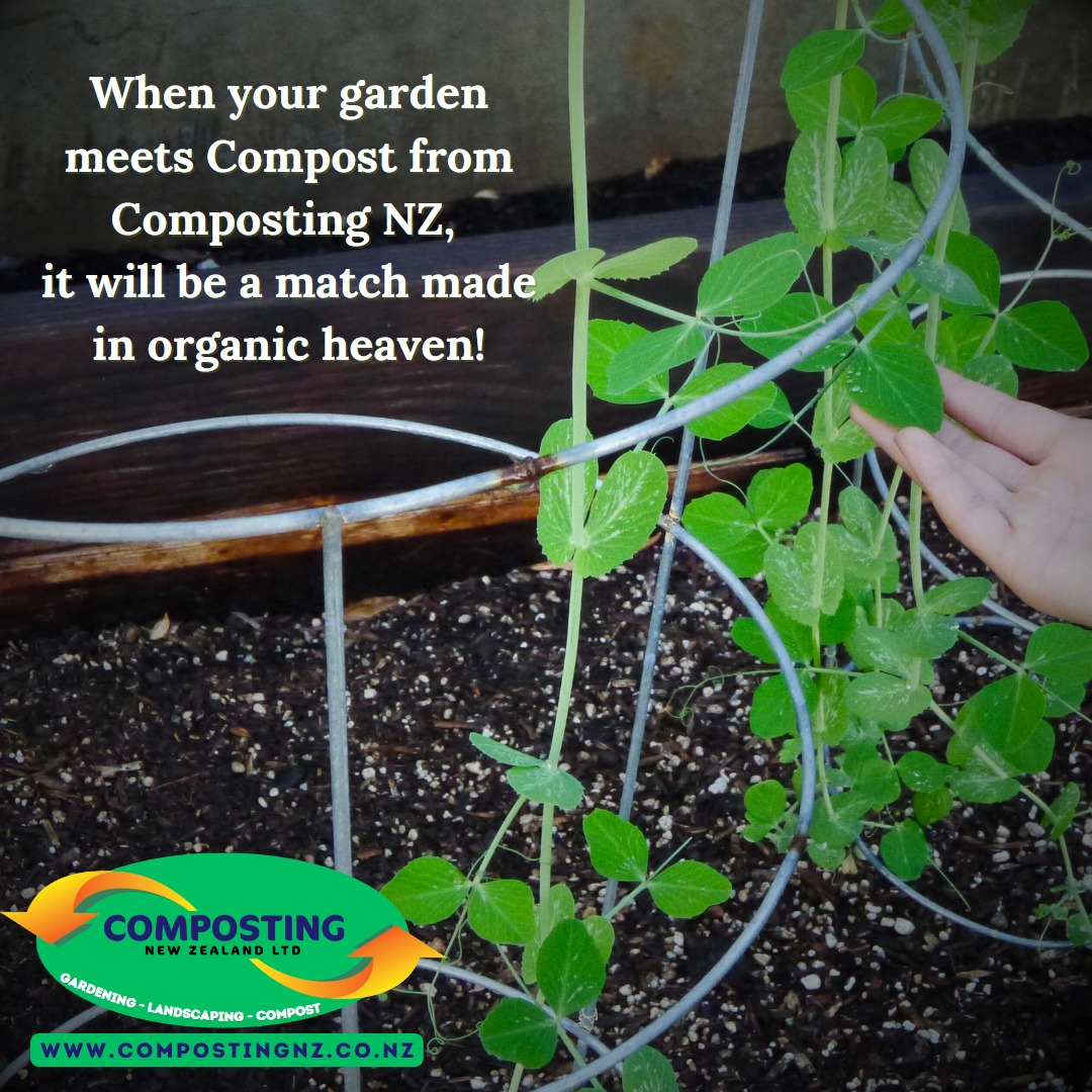 🌱🪴🍃Compost enriches soil... - Composting New Zealand | Facebook