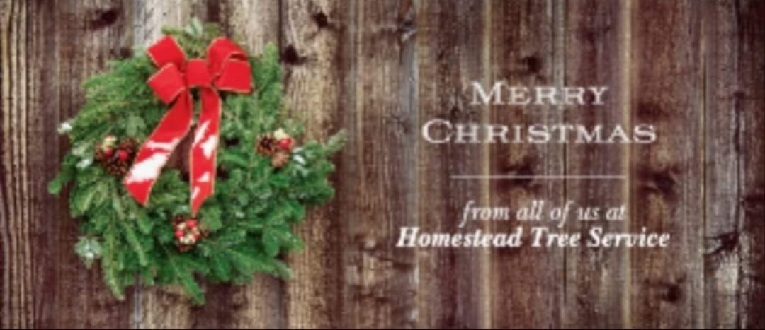 Homestead Tree Service | Belgrade MO