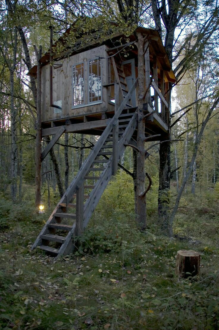 Bonfire - Love this treehouse 🏡 | Facebook