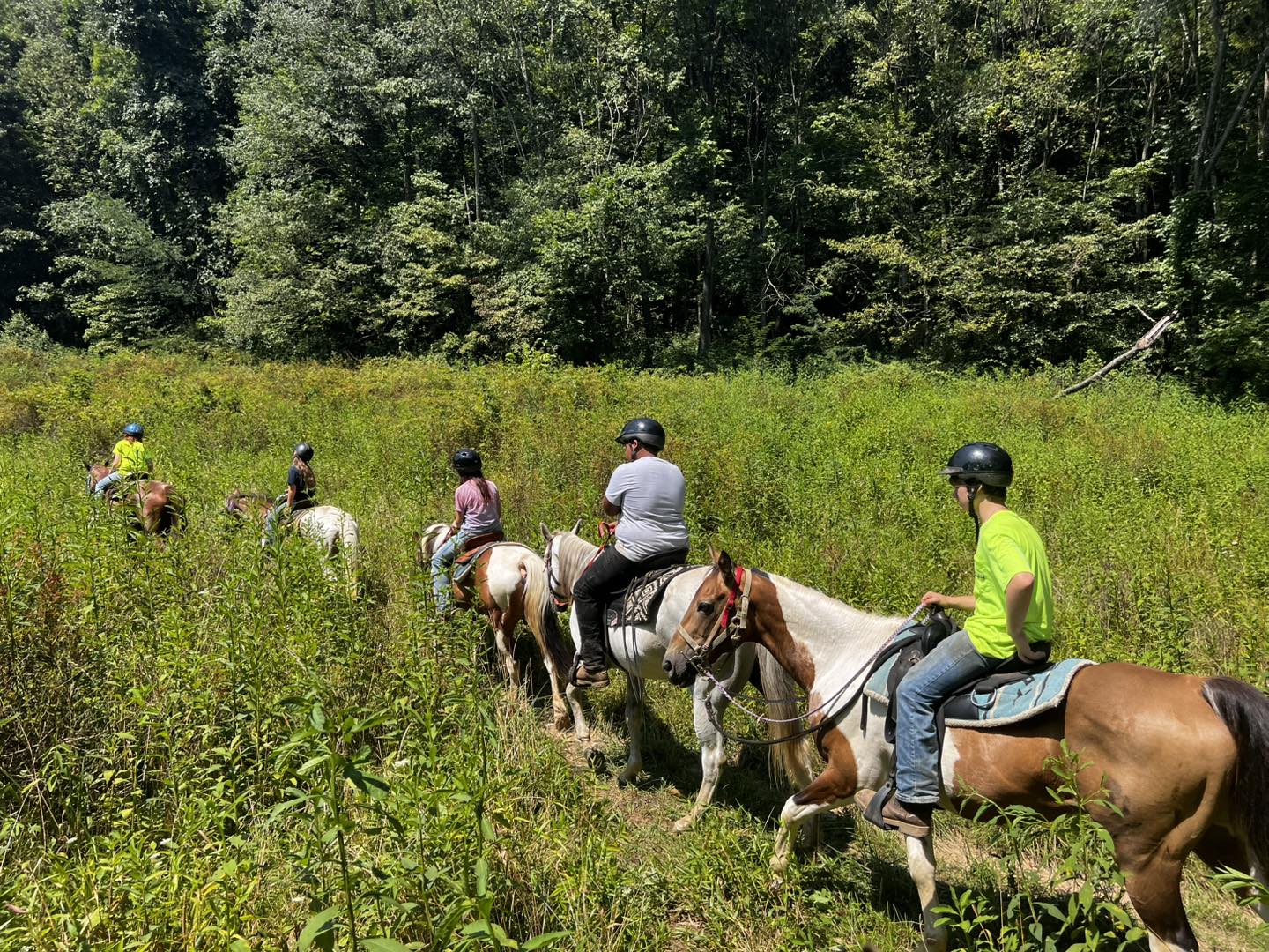 The Red Barn Public Trail Rides | Glenmont OH