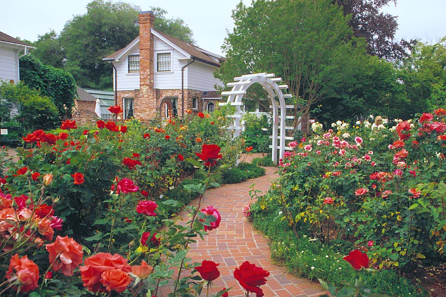 Landscaping for Beginners | Small street full of flowers | Facebook