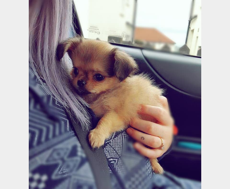First time post❤ Say a big hello to my new baby, Everyone meet