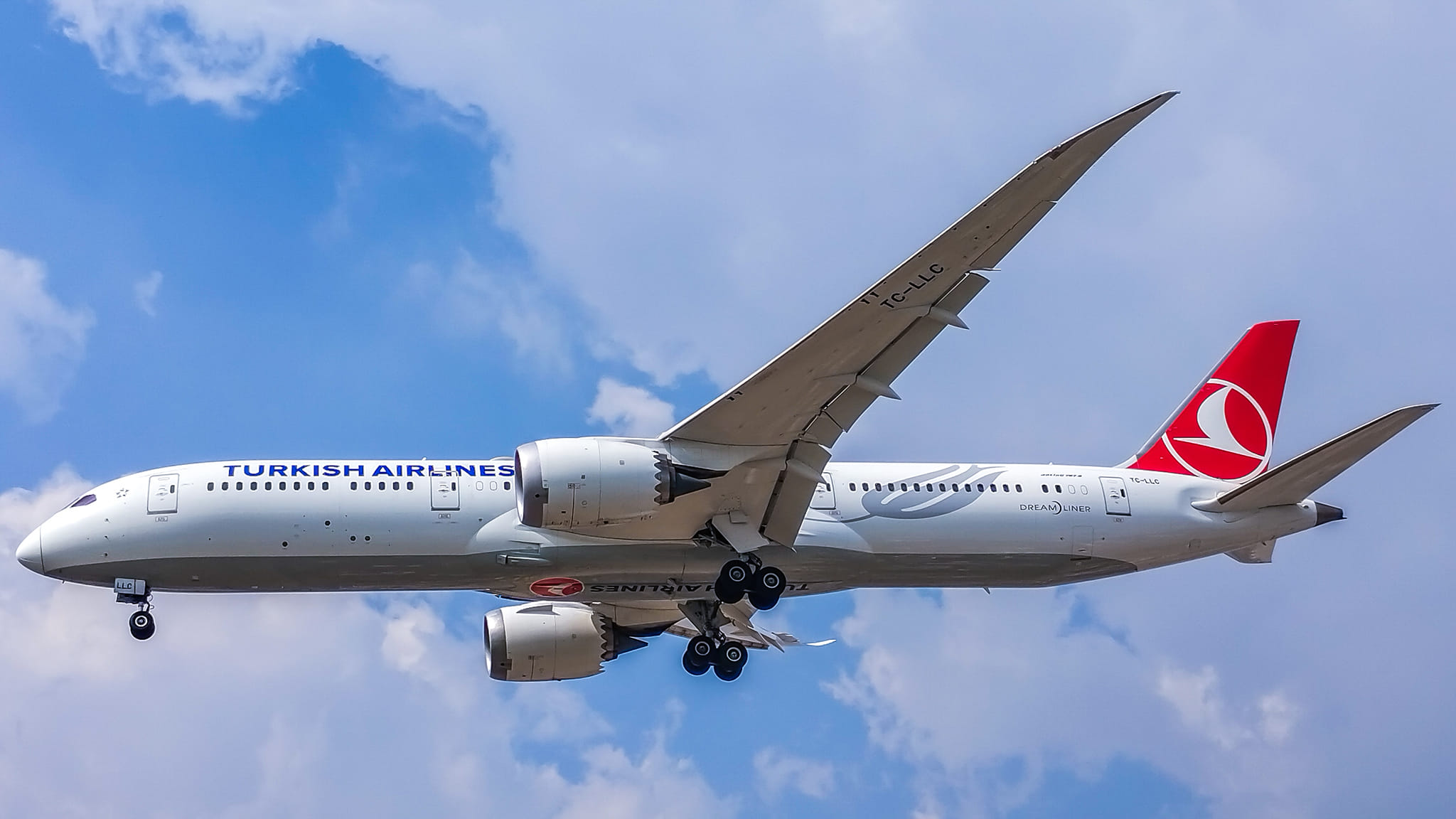 茶 toyoS Boeing 787 Dreamliner de Turkish Airlines en el aeropuerto
