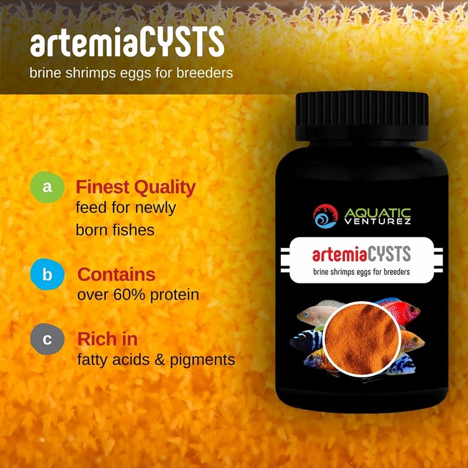 AQUATIC - AQUATIC VENTUREZ Artemia Cysts Artemia Cysts are considered ...