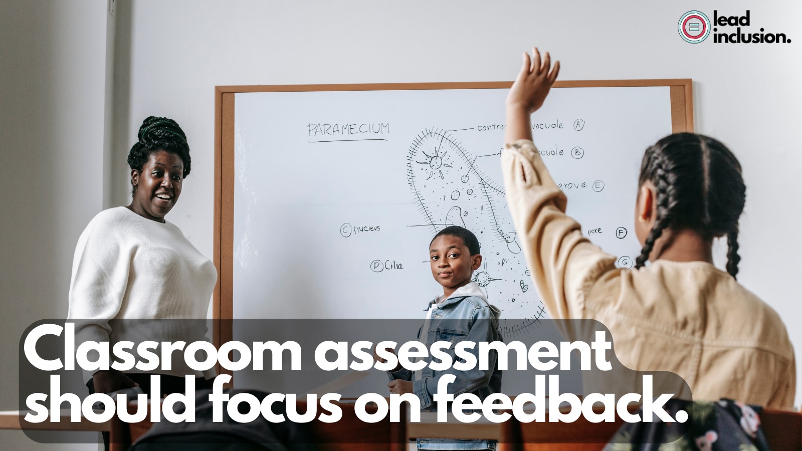 lead inclusion - 📍 Classroom assessment should focus on...