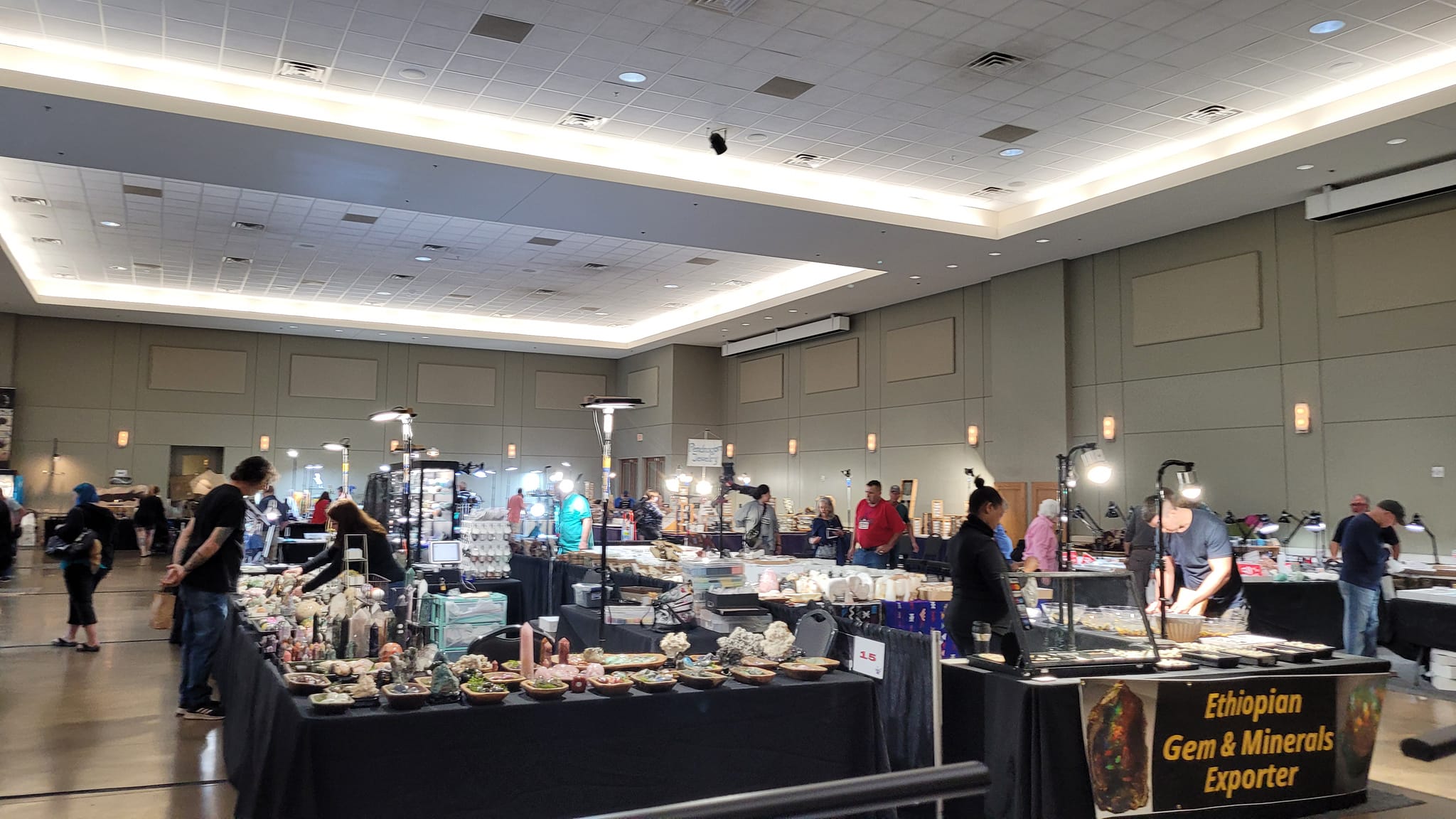 The Texas Mineral &... - RMGM Texas Mineral and Fossil Shows