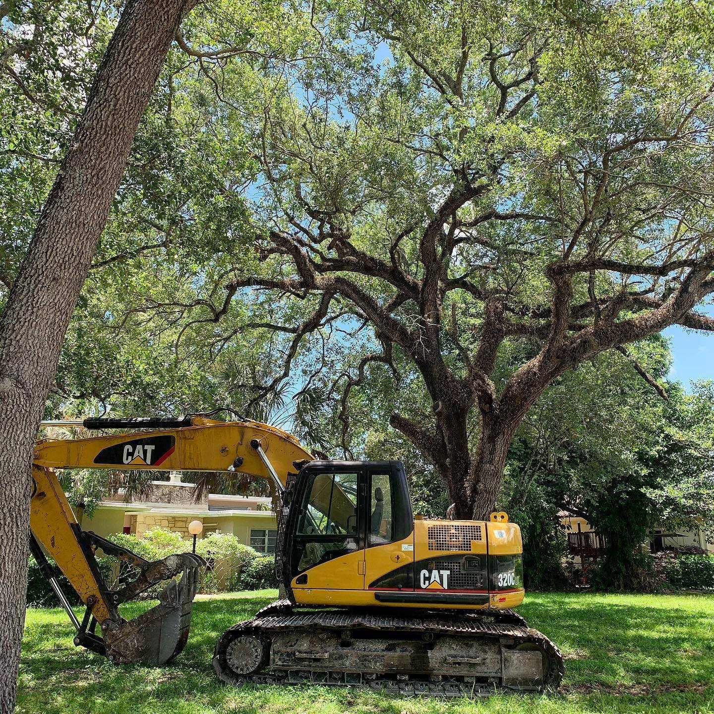 Father & Son’s Tree Service | Homestead FL
