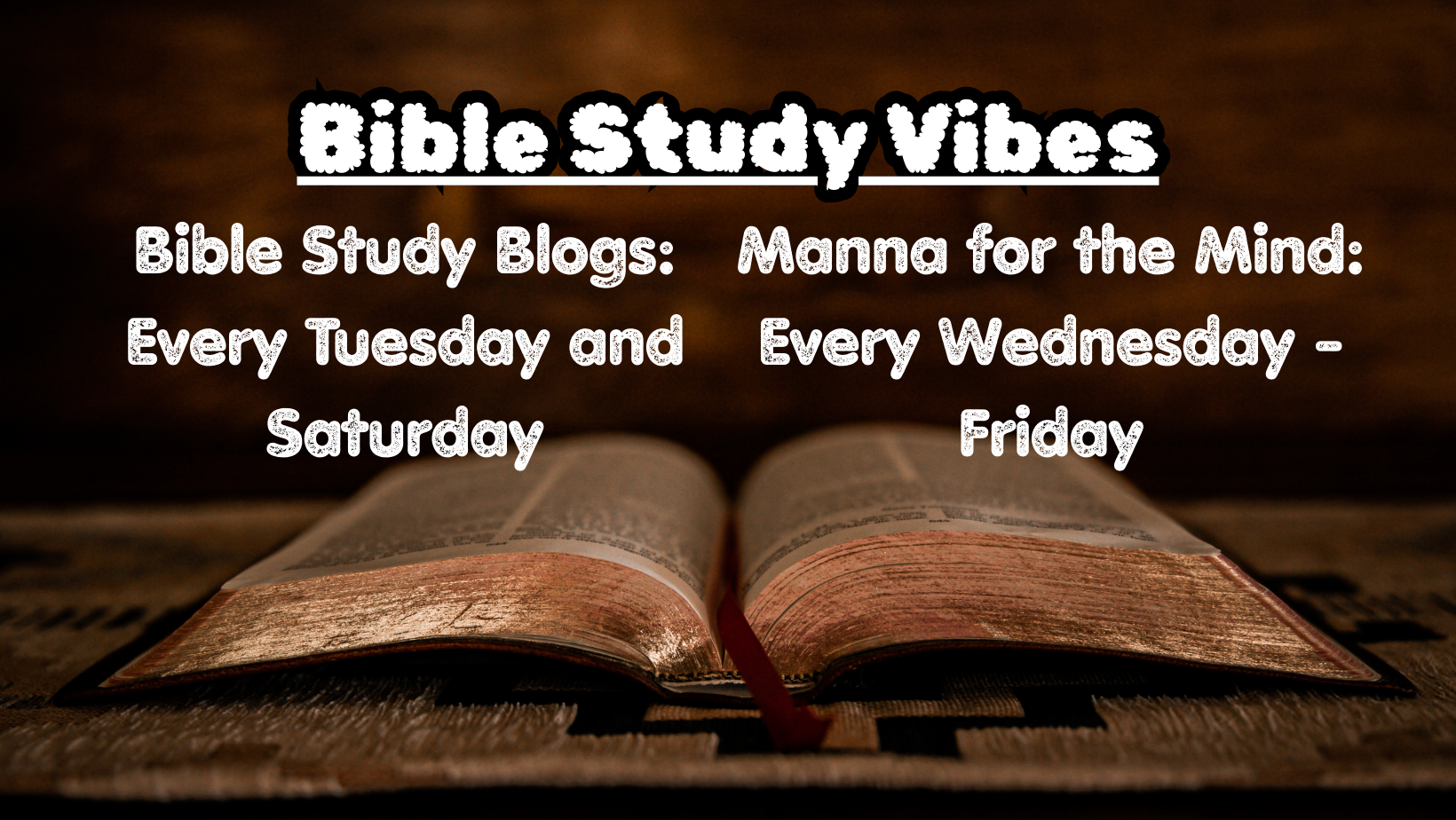 Bible Study Vibes