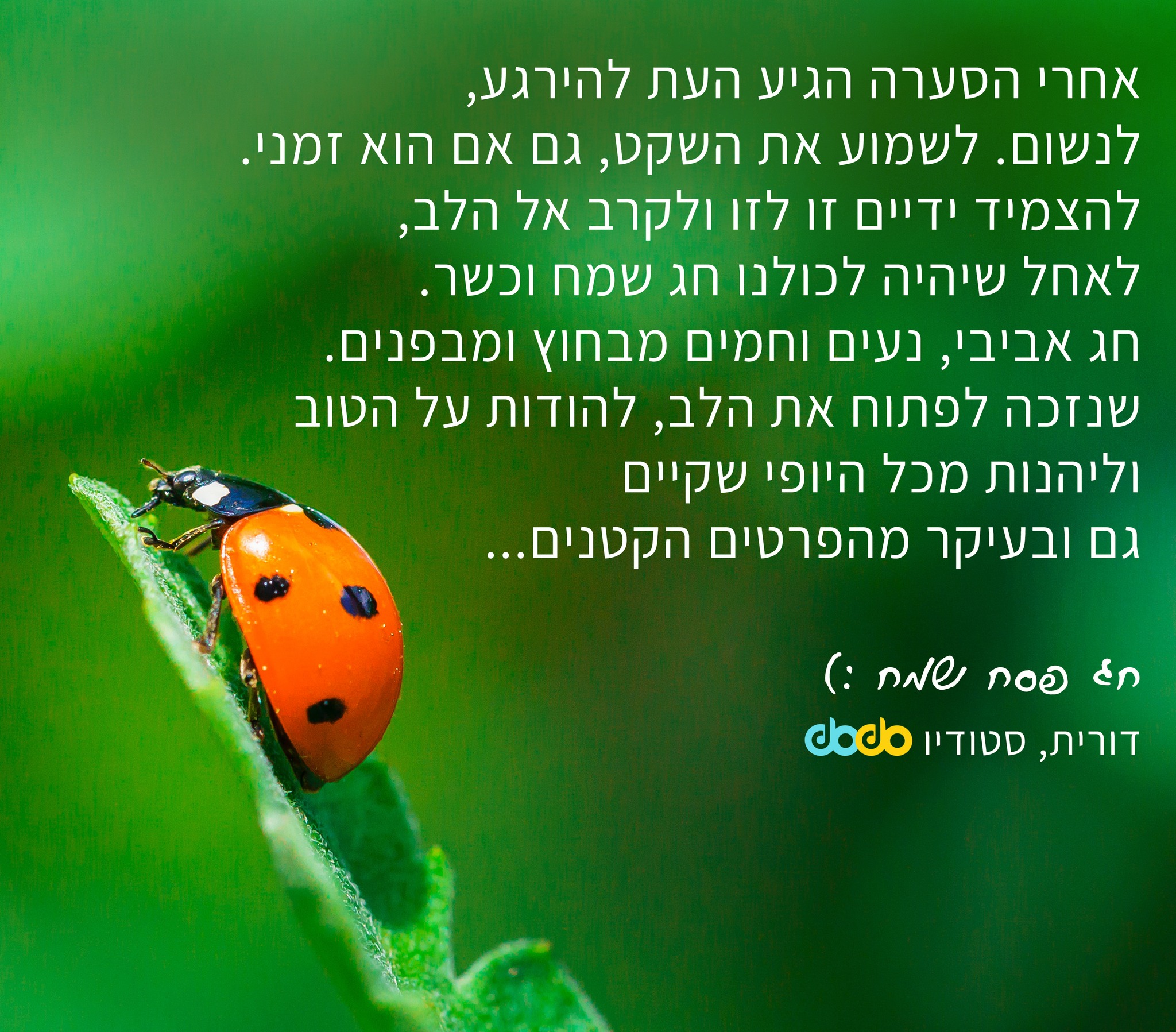 DODO Design | Kfar Saba