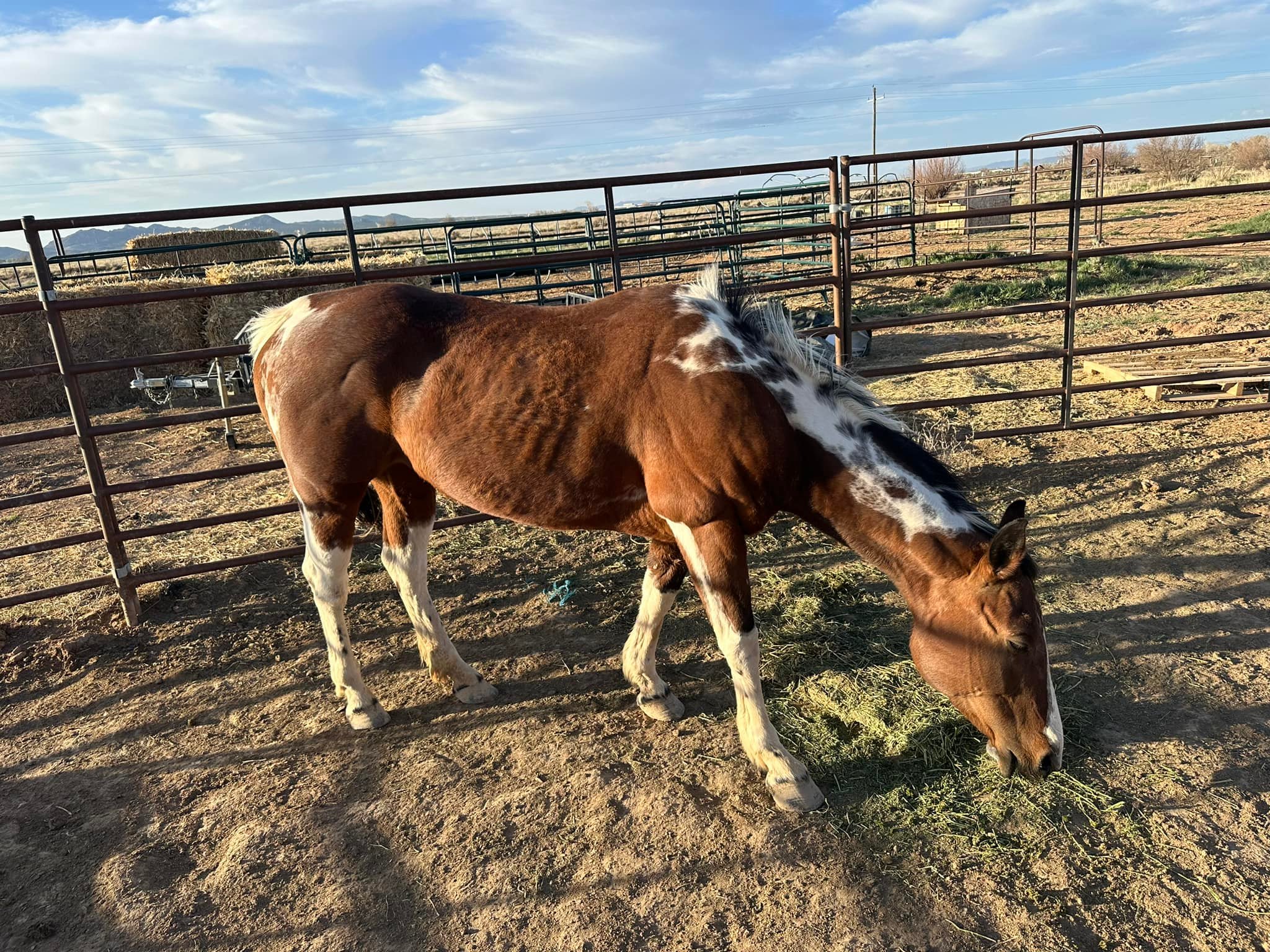Backwards KR Ranch