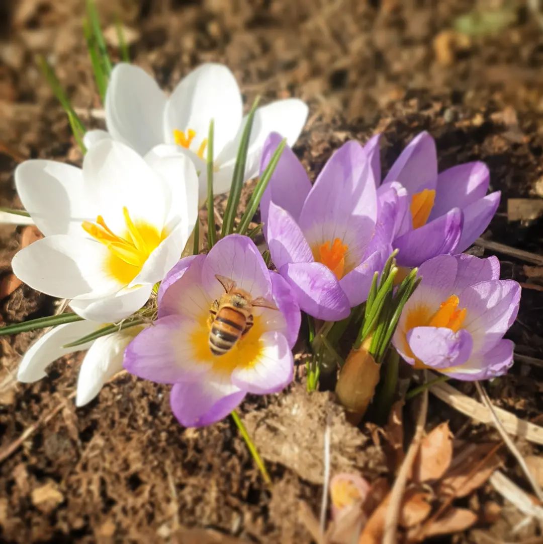 Yoganista - Glad påsk! 🐥 Hoppas du får en riktigt skön...