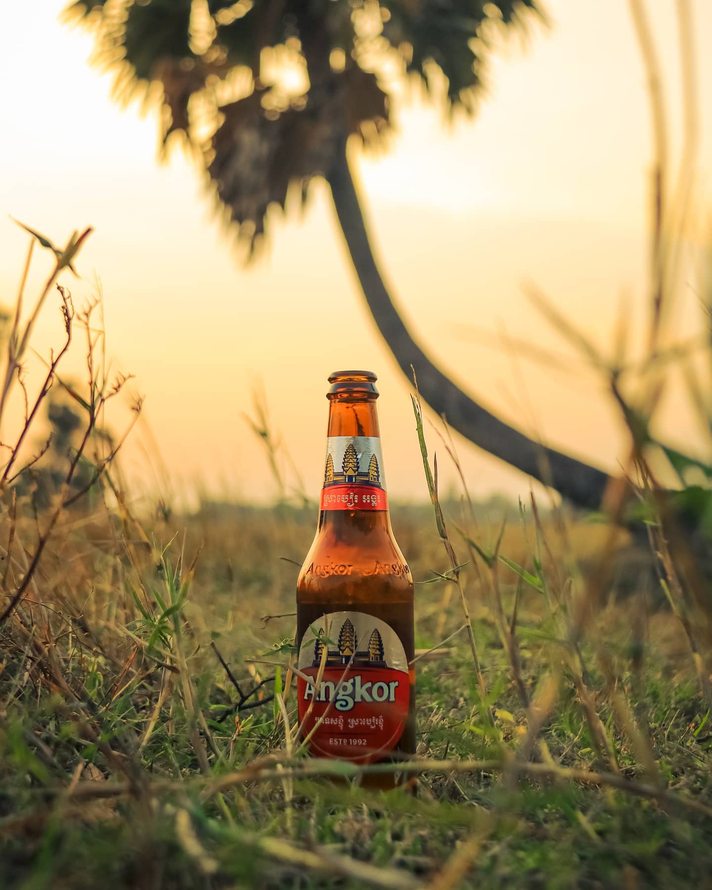 Angkor Beer JP -アンコールビール- (@Angkorbeer.JP) • Facebook