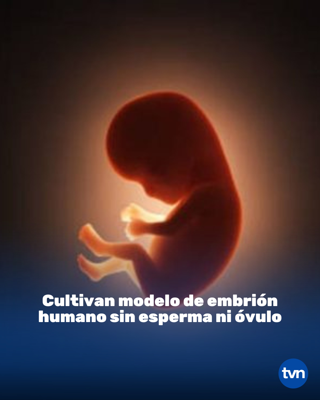 TVN Panama - Los científicos han desarrollado una entidad... | Facebook