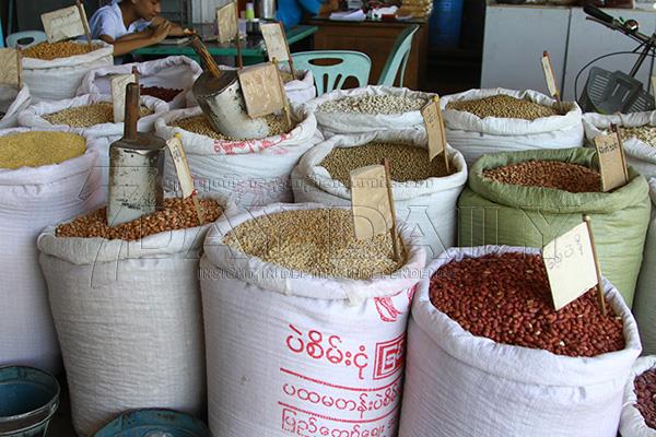 Myanmar Beans & Pulses