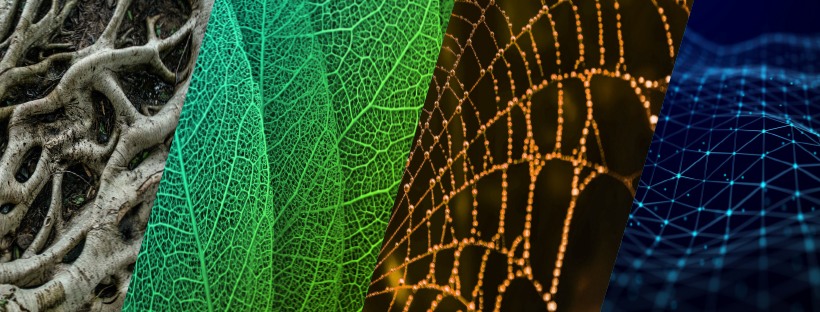 FiberLean Technologies | Cornwall QLD
