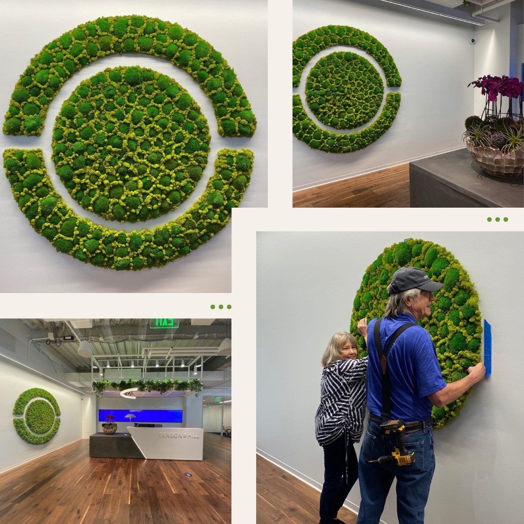 Visual Reference: Ambius A Branded Green Wall Or Moss Wall In This