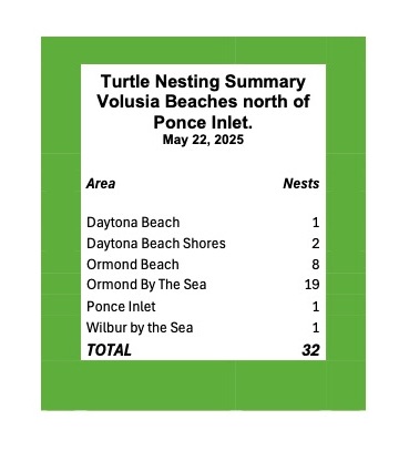 Turtle - Time for the weekly nesting counts....the first of the 2025 ...