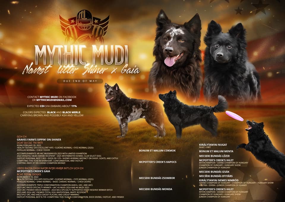 Mythic - Mythic Mudi is proud to announce the coming of our Spring 2025 ...