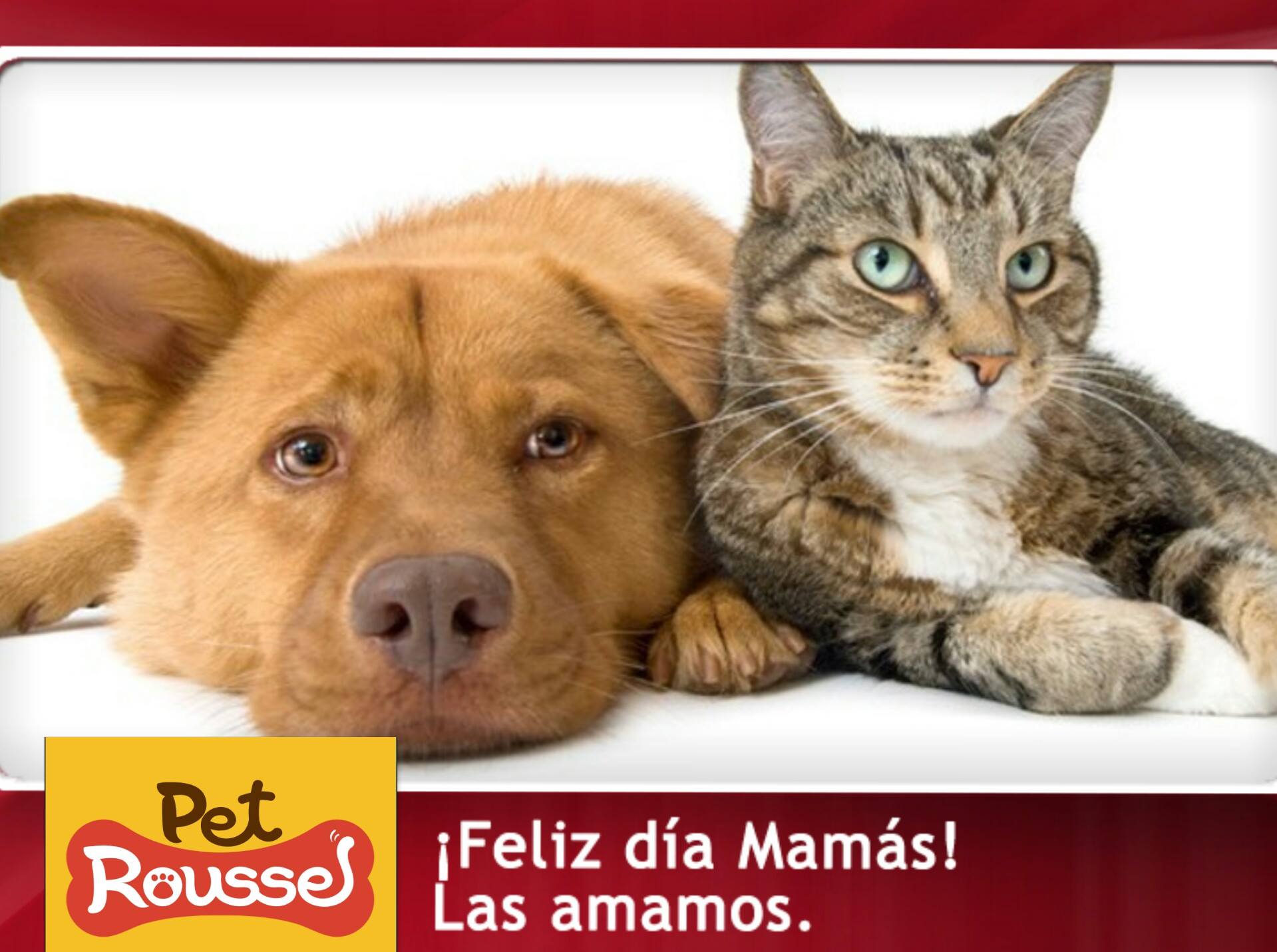 Pet Roussel - Feliz día a todas las mamitas! !! Disfruten...
