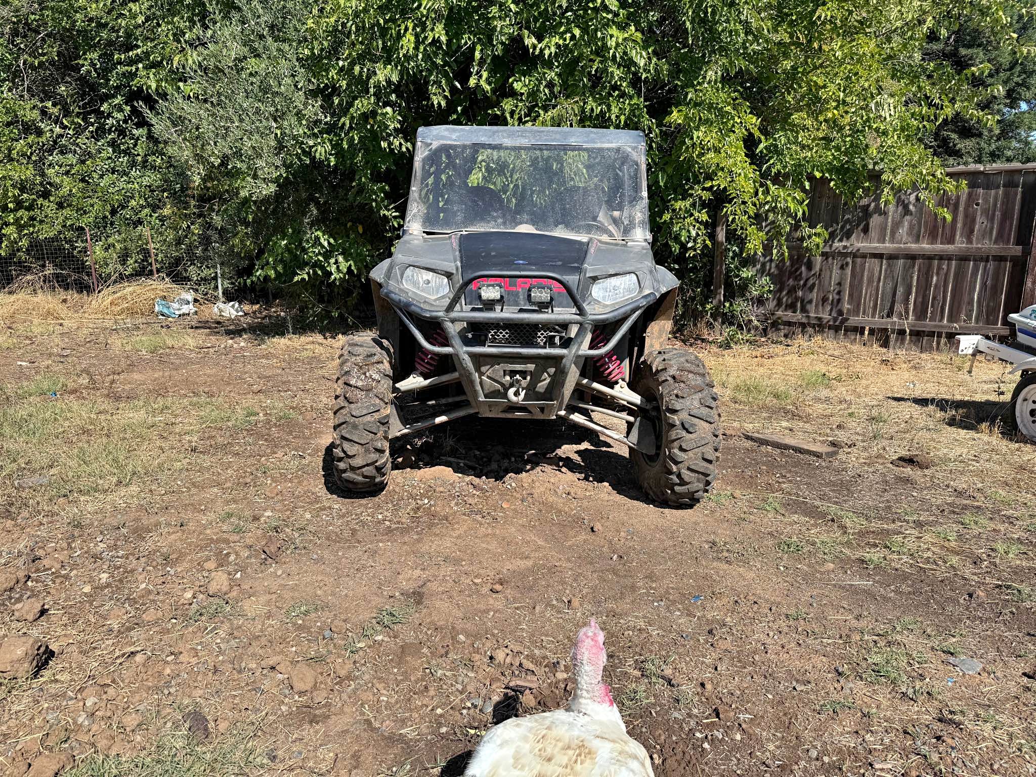 2009 Polaris Razor 800