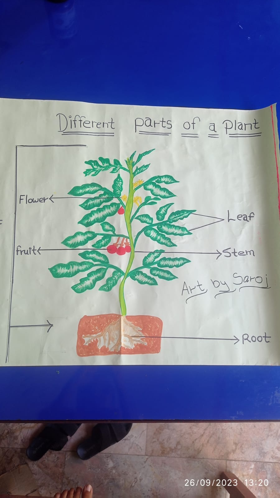 Emerald Academy - Project work of science by class 4 students