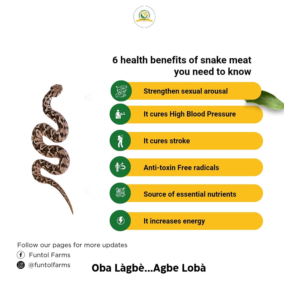 Image showcasing Funtol Farms | Ibadan