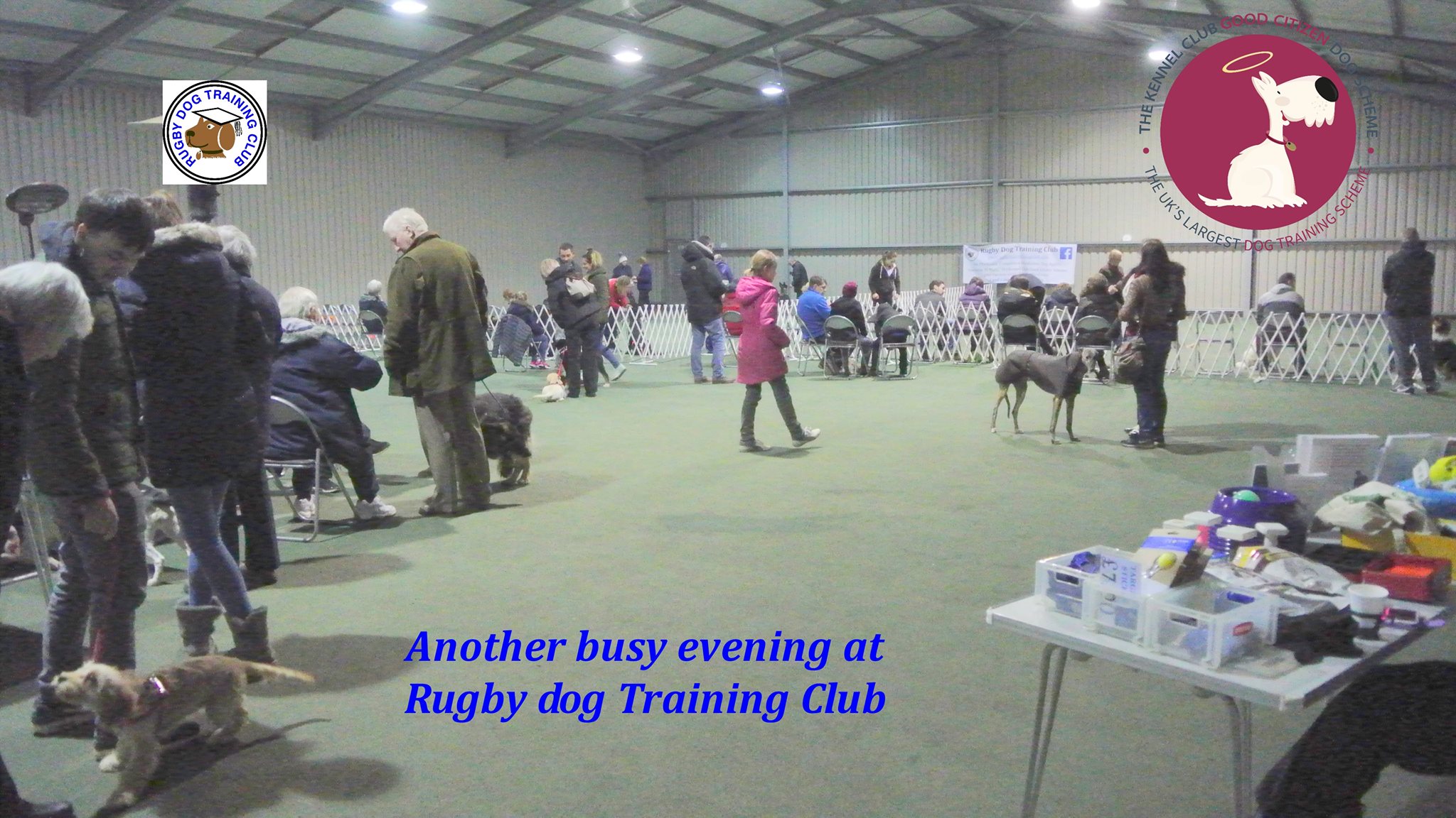 Rugby Dog Training Club