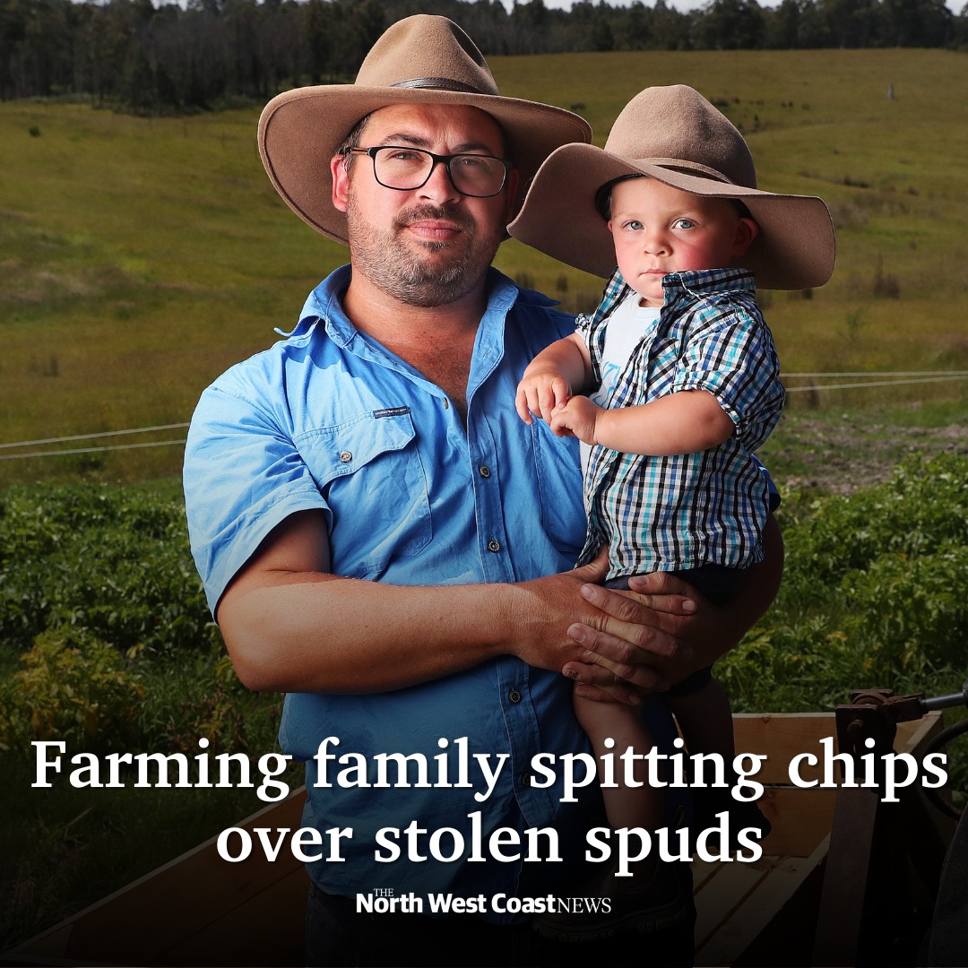 The North - Seen some cheap spuds for sale? A hungry thief has dug up ...
