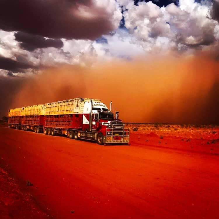 Calomba Transport