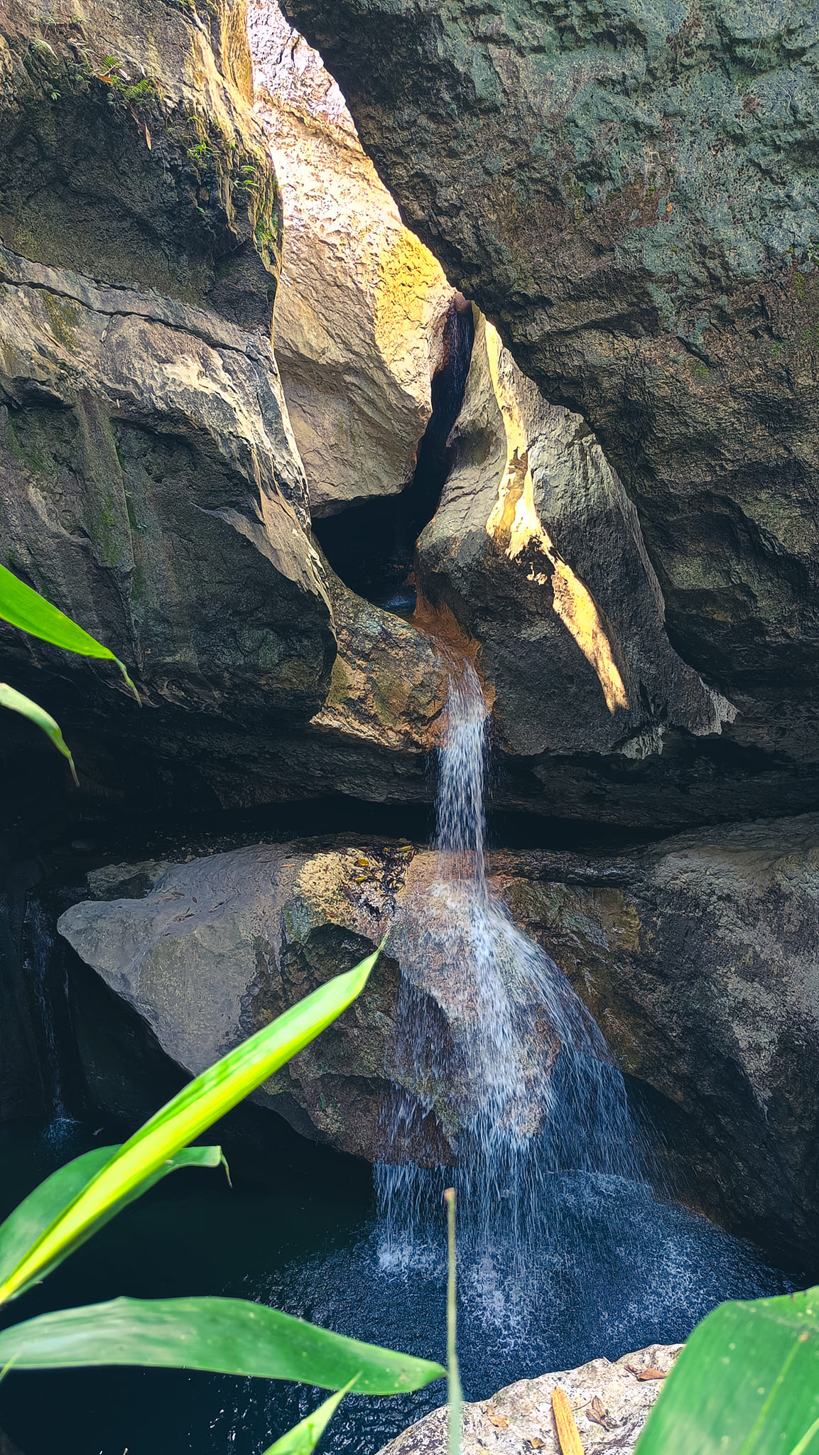 Mossy Adventure - Dangwa Cave 2024 The Dangwa Cave and... | Facebook