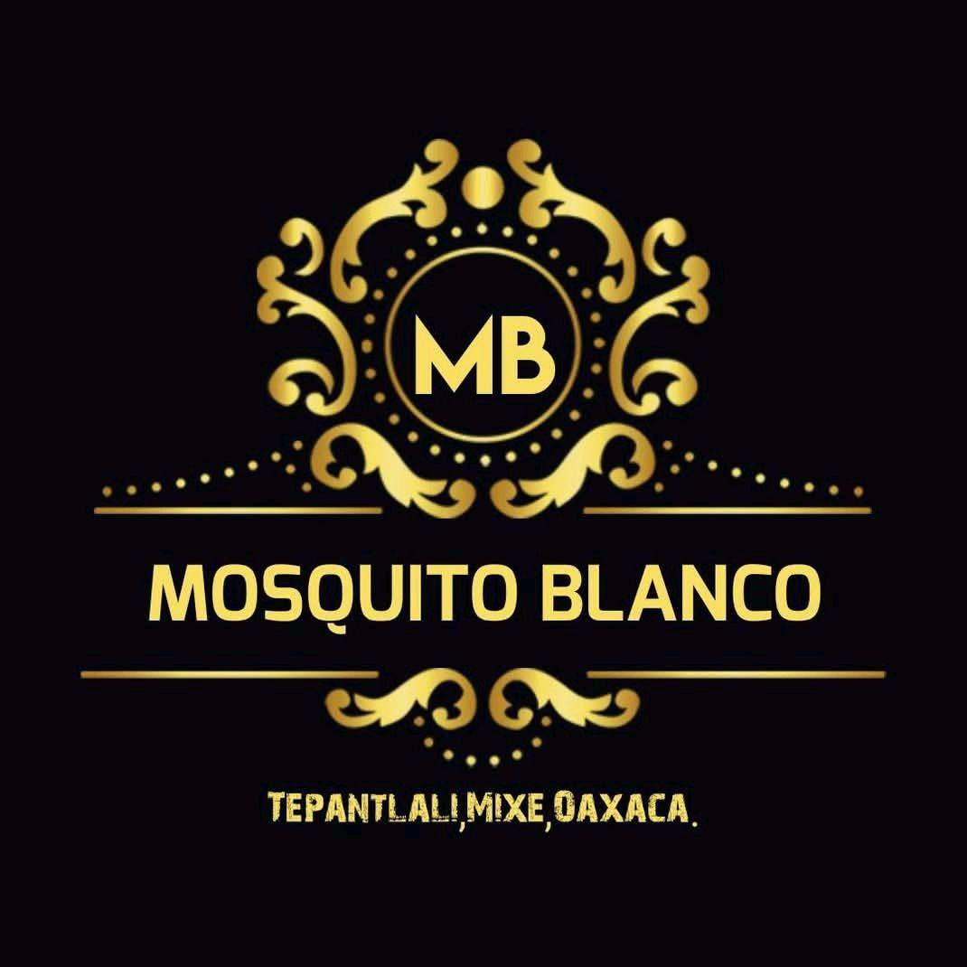 Mosquito Blanco Tepantlali Mixe Oaxaca