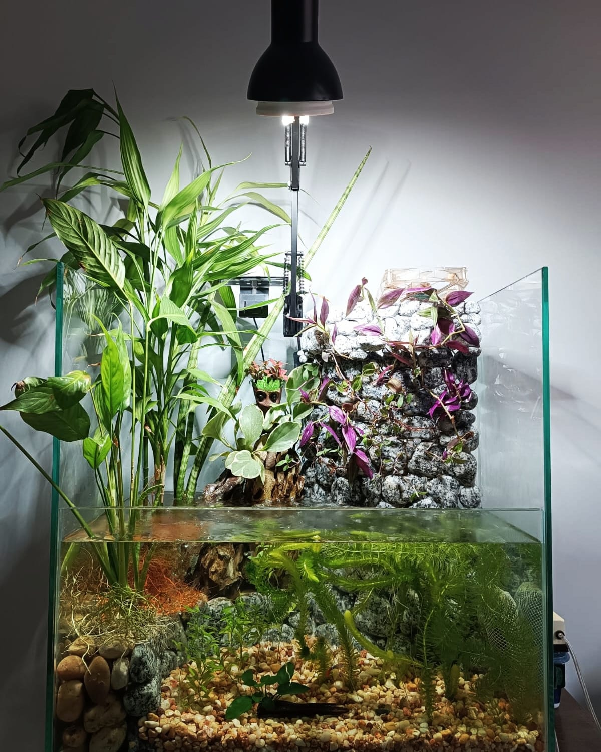 Curated visual reference: Gallery Detail: Glass Class Aquariums