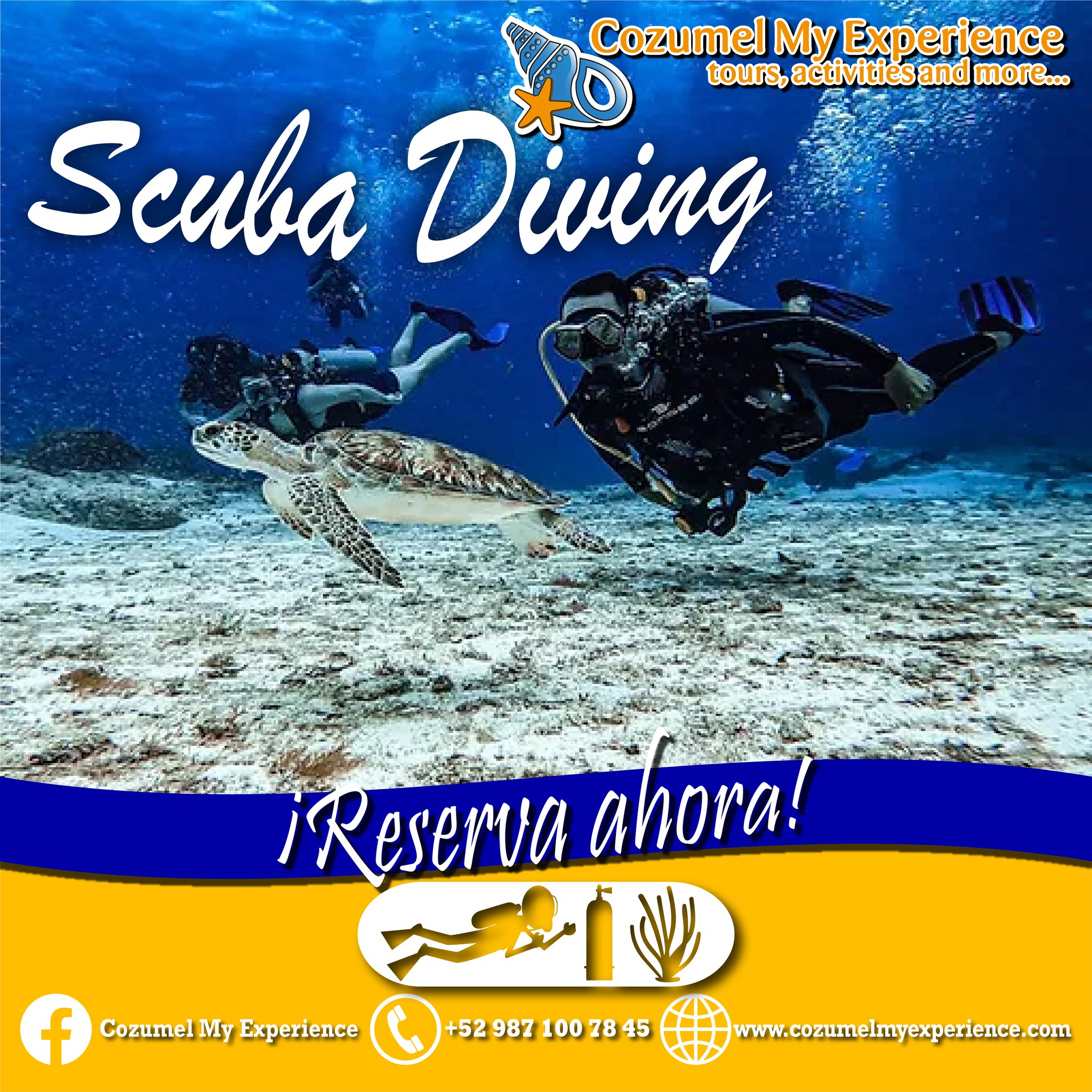 🤿🫧 Dive into the magic of the... - Cozumel My Experience