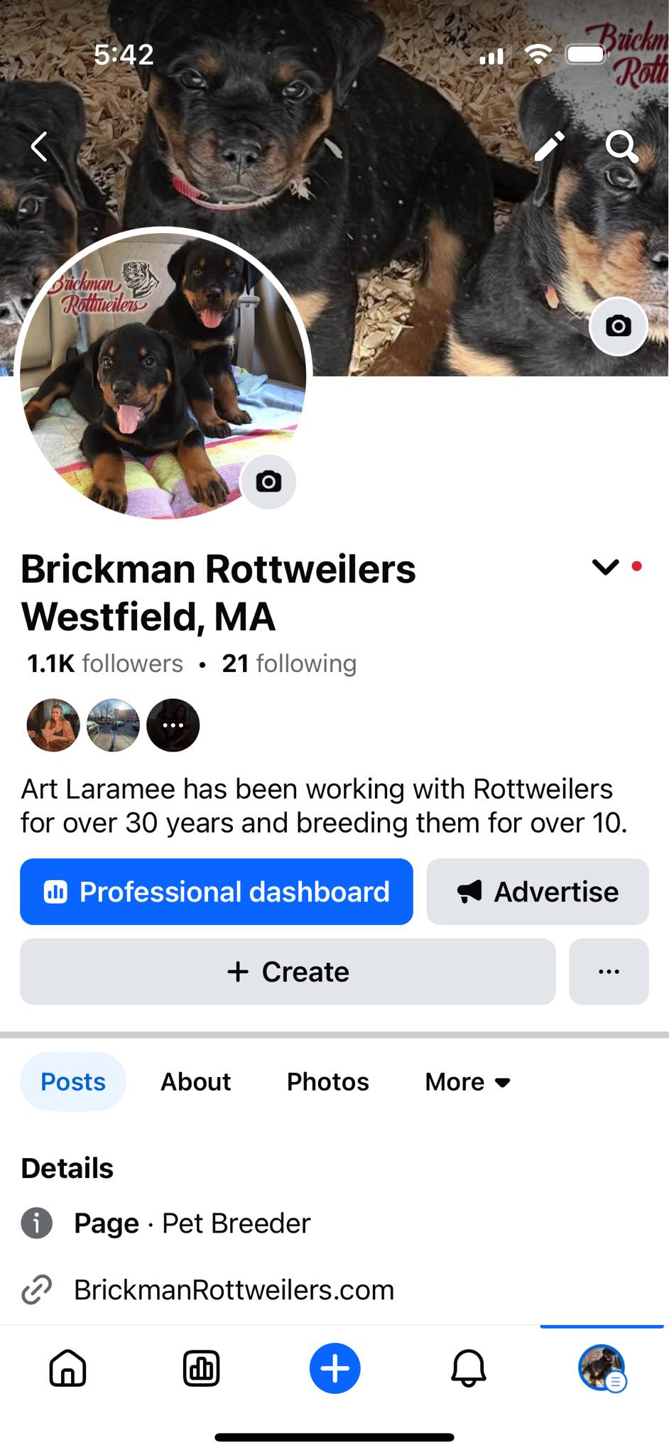 Brickman Rottweilers Westfield, MA | Westfield MA